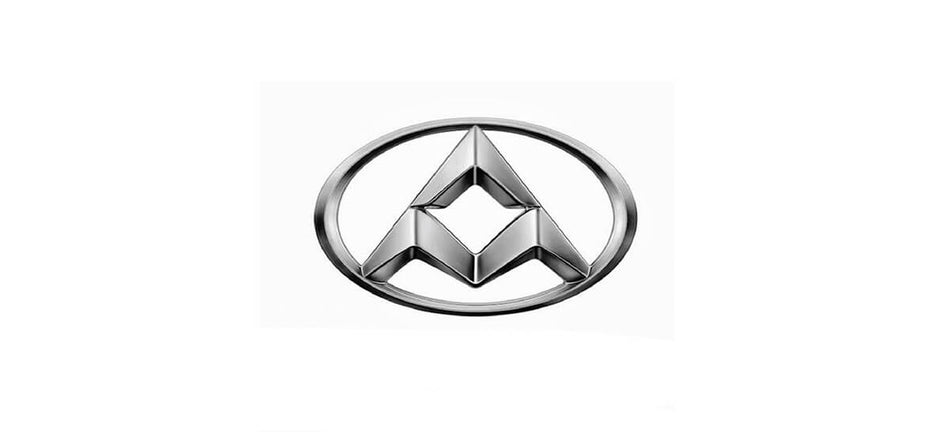 LDV