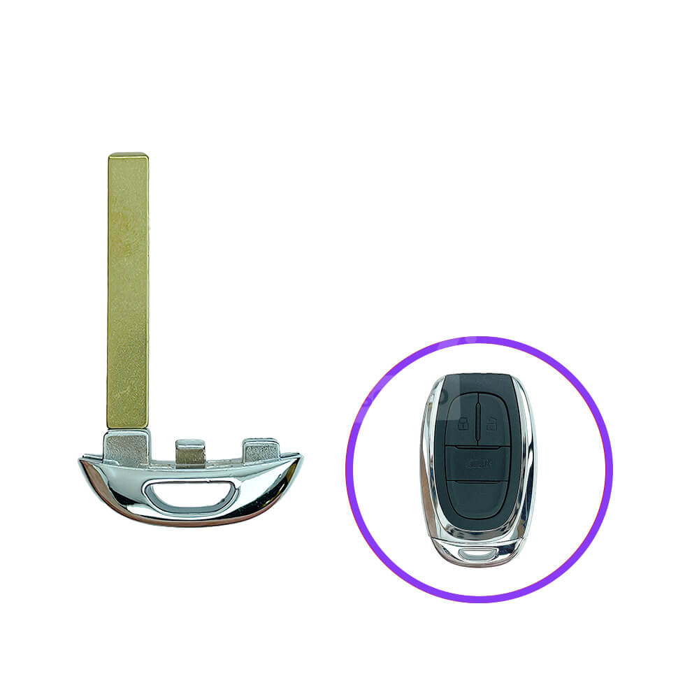LDV G10 Smart Remote Emergency Blade HU100 – Tapsy Keys